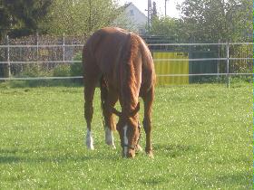Ryviera_Frühjahr_2007.JPG