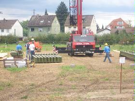 Fohlenbilder_26_08_06 060.jpg