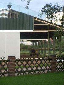 Fohlenbilder_26_08_06 092.jpg