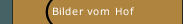 Bilder vom Hof