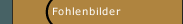Fohlenbilder